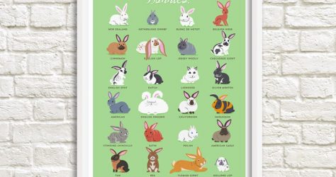 doggiedrawings – Bunnies art print