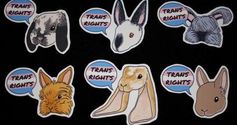NonBunnaryArt – Transgender Rights bunny stickers