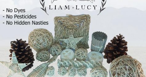 LiamLucyPetSupply – All natural chew toy collection